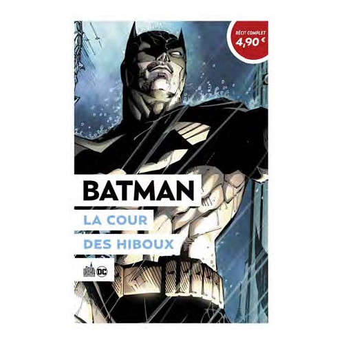Batman : La Cour des Hiboux (VF)