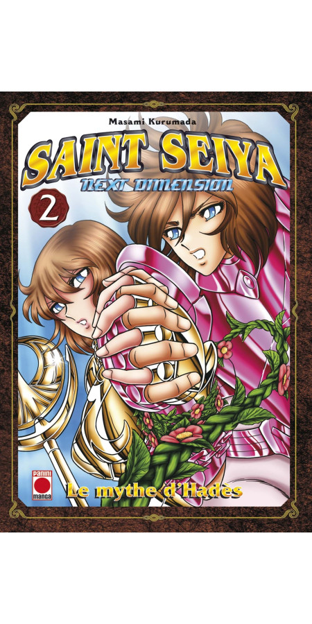 Couverture de Saint Seiya Next Dimension T02