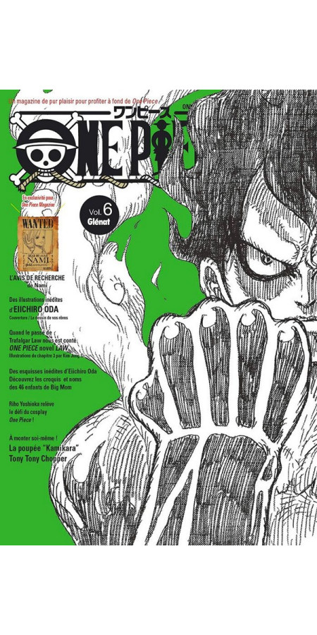 One Piece Magazine - Tome 6 (VF)