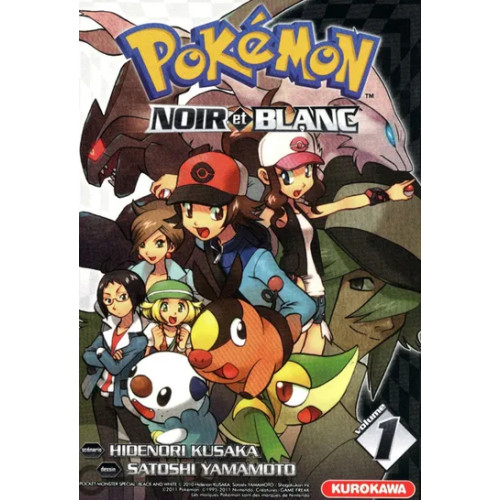 Pokémon Noir et Blanc T1 (VF)