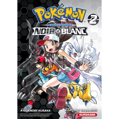 Pokémon Noir & Blanc DOUBLE T2 (VF)