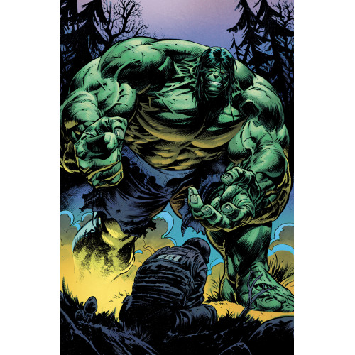 Hulk T01 (VF)