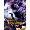 Solo Leveling T19 (VF)