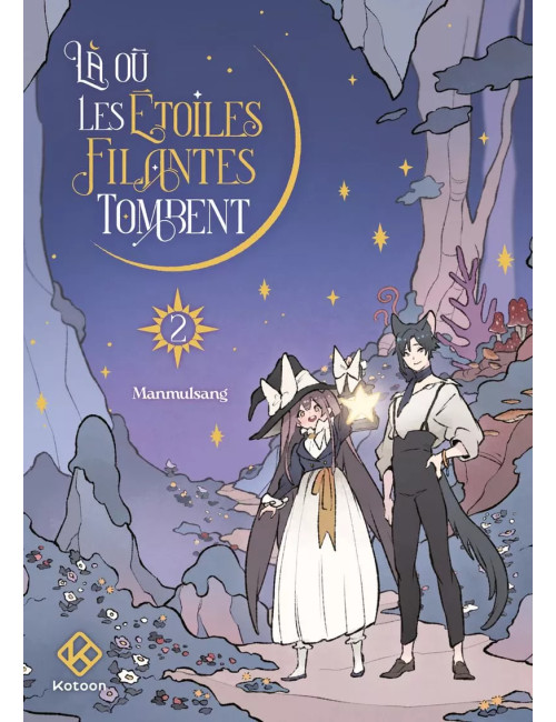 LA OU LES ETOILES FILANTES TOMBENT - TOME 2 (VF)