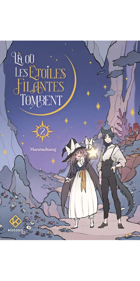 LA OU LES ETOILES FILANTES TOMBENT - TOME 2 (VF)