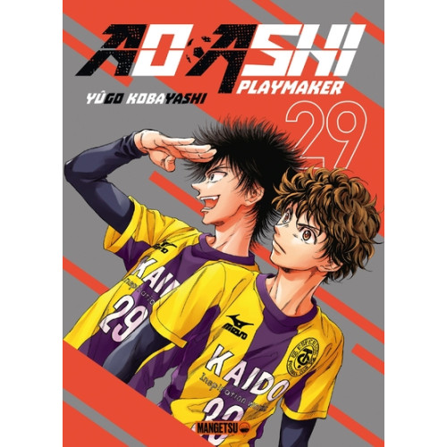 AO ASHI TOME 29 (VF)