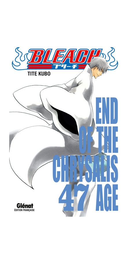 Bleach T47 (VF)