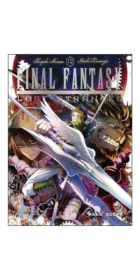 Final Fantasy Lost Stranger Tome 13 (VF)
